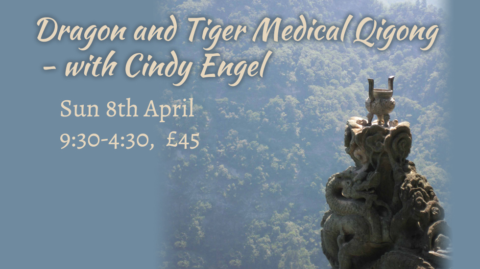 Dragon and Tiger Medical Qigong 2018 April