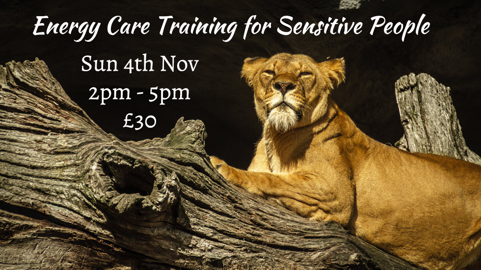 Energy Care Training for Sensitive people 2018-11